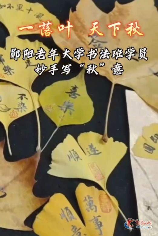 一落叶   天下秋