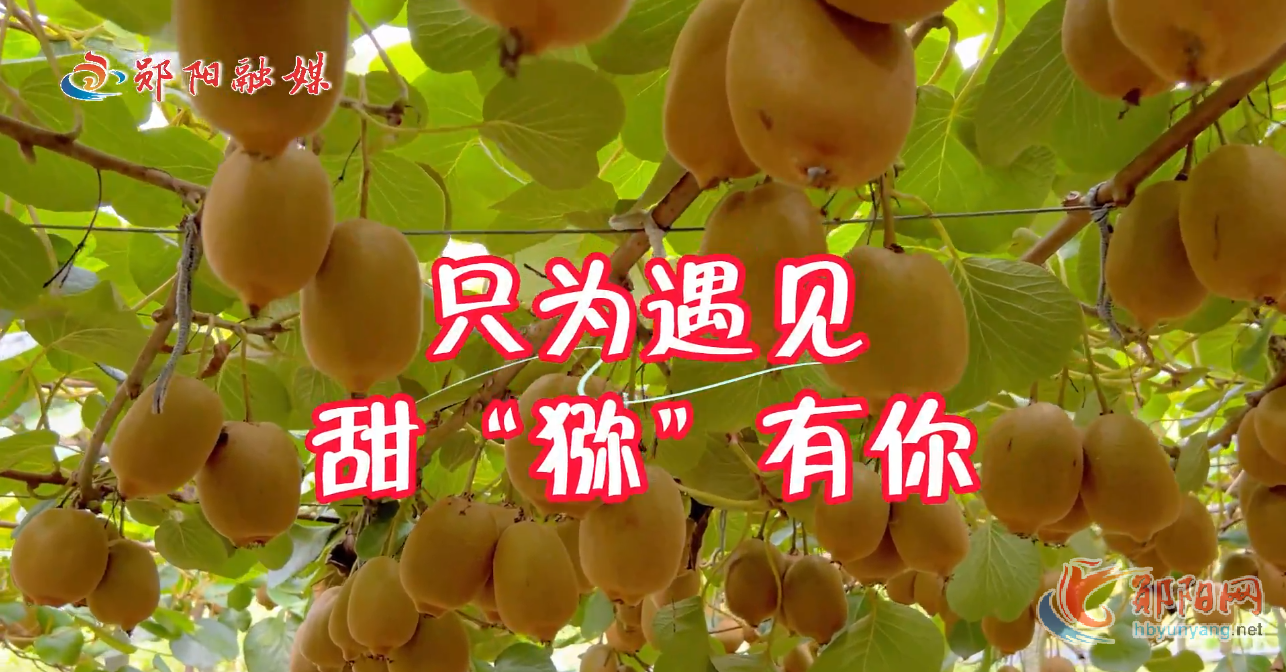 直播回放|只为遇见 甜