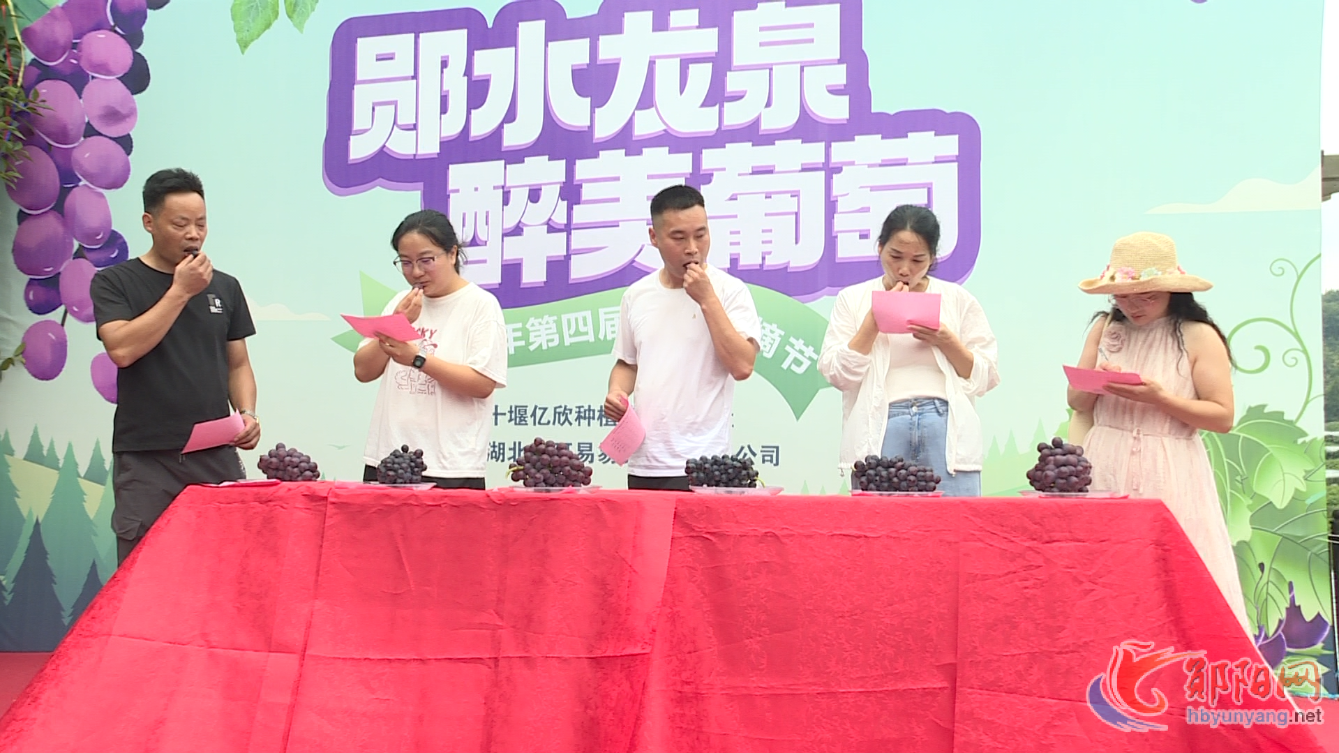 郧阳区谭家湾镇龙泉村第四届葡萄采摘活动甜蜜启幕