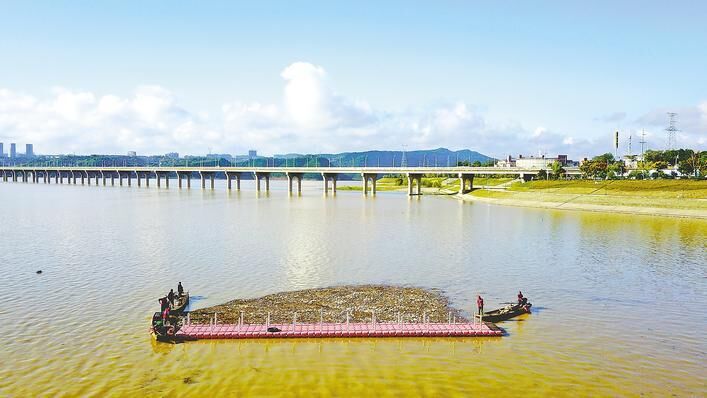 郧阳区：雨后库区清漂忙