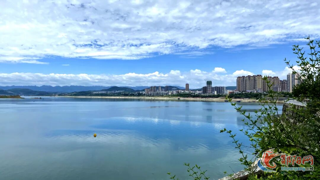 郧阳区：绿色“执笔”着墨生态画卷