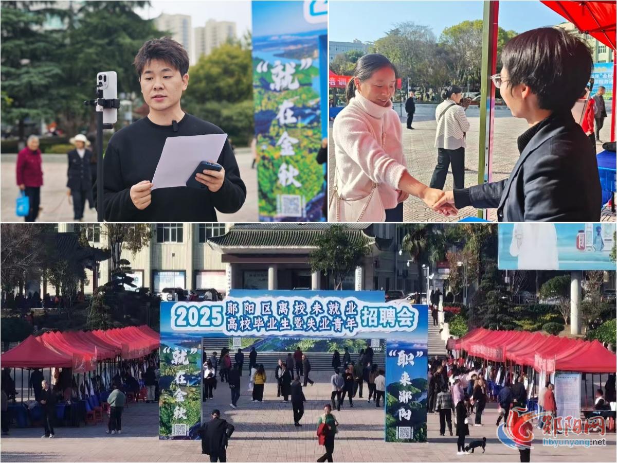 为青年搭台，为就业赋能！郧阳区“金秋招聘月”活动持续进行