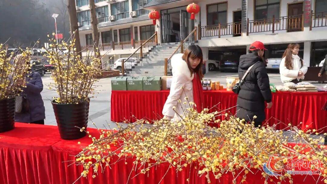 蜡么美，蜡么香！冬日赏梅胜地，我选沧浪山~