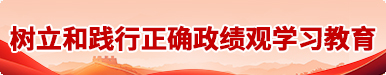 树立和践行正确政绩观学习教育