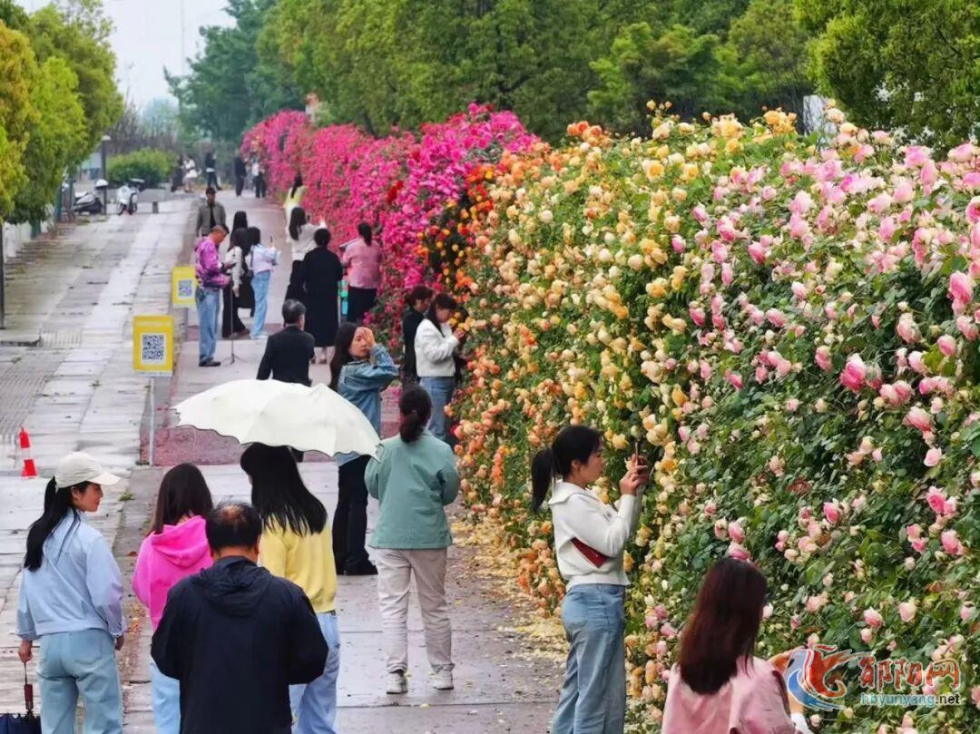 全民共享！“五一”假期郧阳文旅消费活力全开