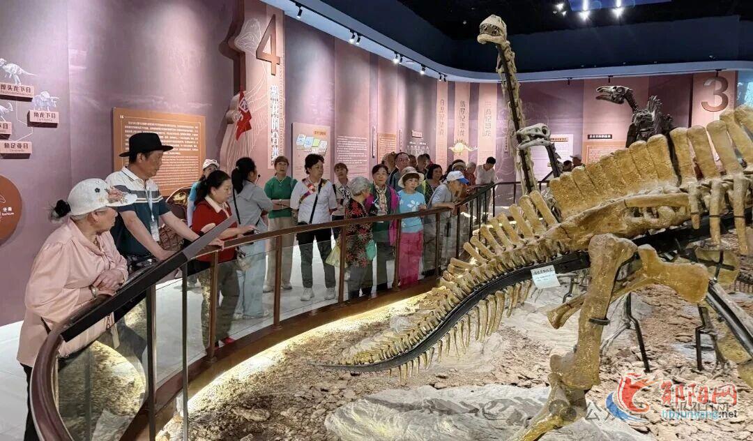 渝、苏、黔，三地游客包机来大美郧阳啦~