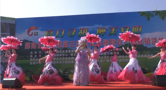 甜爆盛夏！这场夏日“西瓜派对”，带你解锁“丰收”的N种快乐