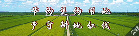 节约集约用地 严守耕地红线