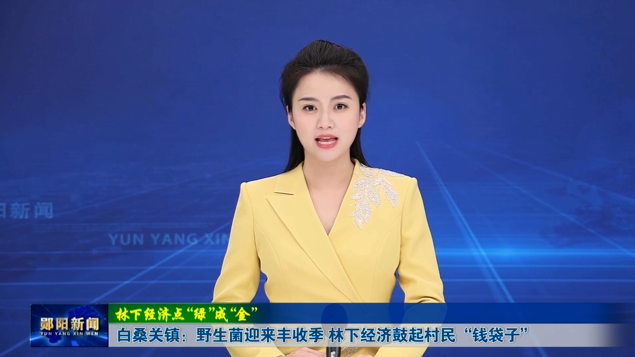 【林下经济点“绿”成“金”】白桑关镇：野生菌迎来丰收季 林下经济鼓起村民“钱袋子”
