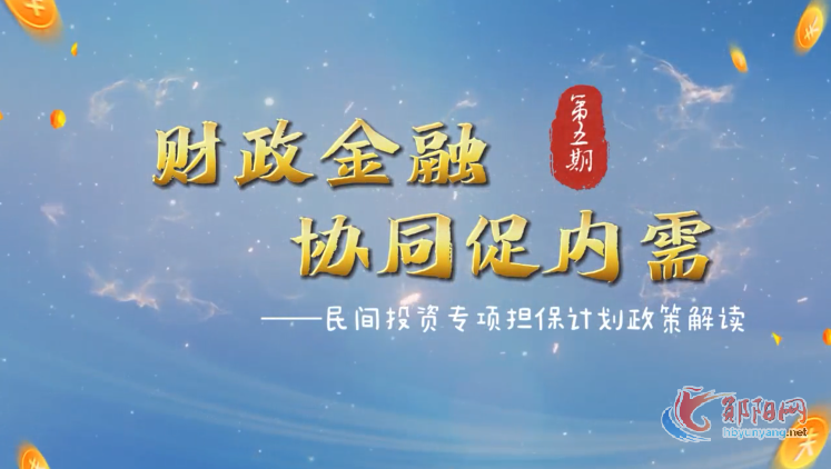 财政金融 协同促内需——民间投资专项担保计划政策解读