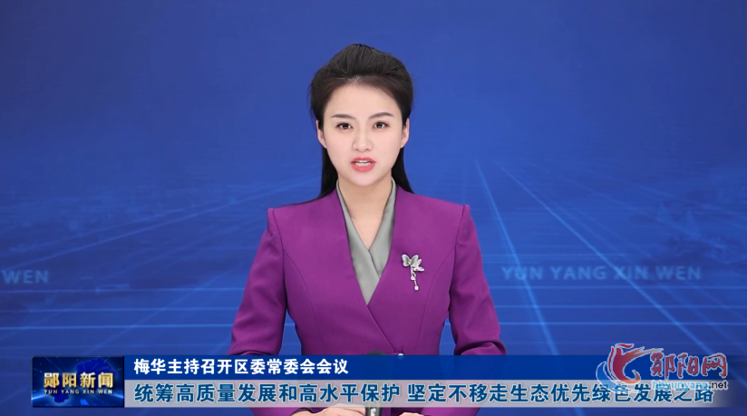 梅华主持召开区委常委会会议